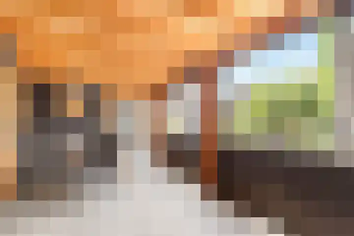 Klaas Visscherstraat 1 Nijkerk thumbnail 30
