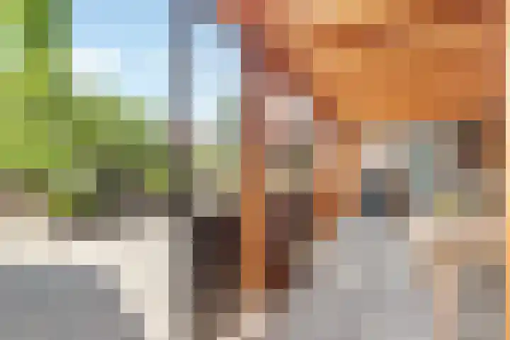 Klaas Visscherstraat 1 Nijkerk thumbnail 31