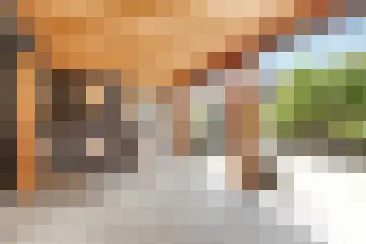 Klaas Visscherstraat 1 Nijkerk thumbnail 32