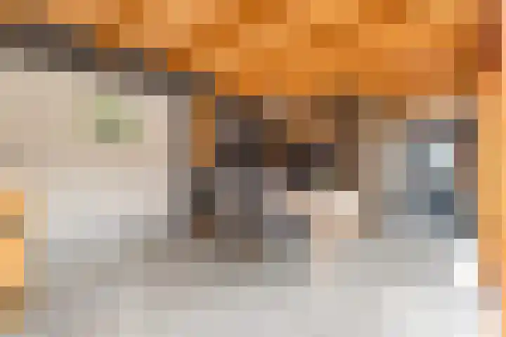 Klaas Visscherstraat 1 Nijkerk thumbnail 34