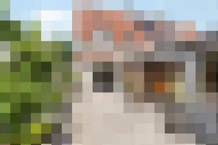 Klaas Visscherstraat 1 Nijkerk thumbnail 4