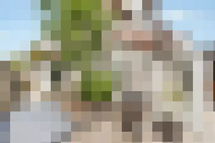 Klaas Visscherstraat 1 Nijkerk thumbnail 40