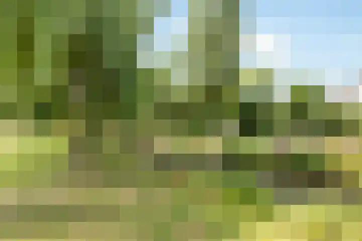 Klaas Visscherstraat 1 Nijkerk thumbnail 44