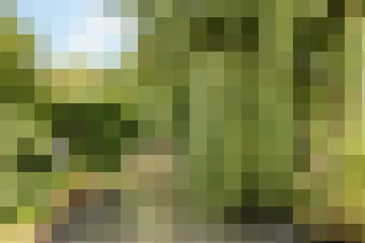 Klaas Visscherstraat 1 Nijkerk thumbnail 46