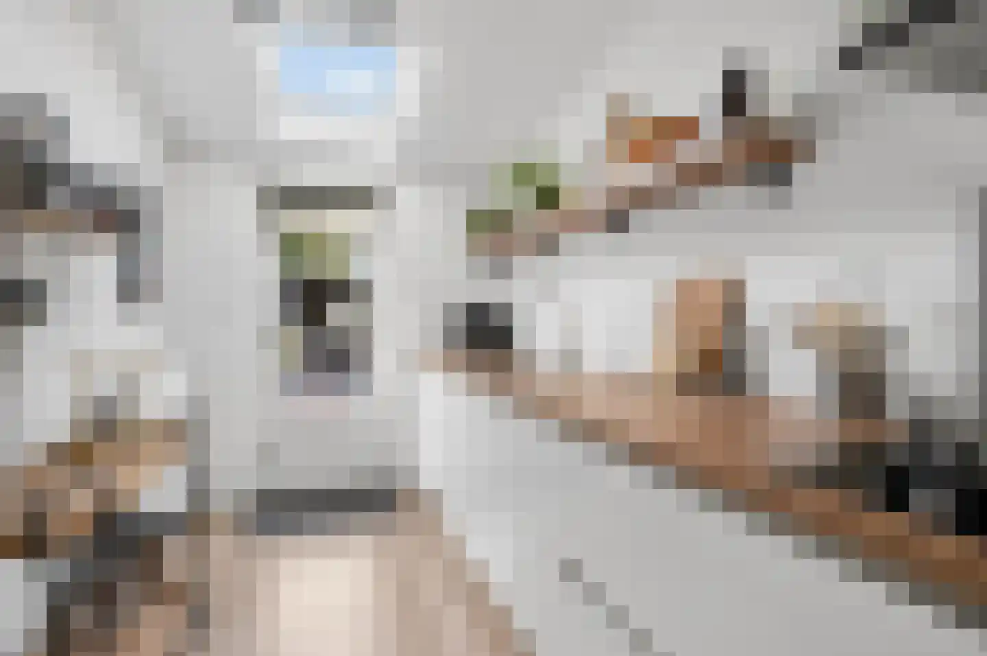 Klaas Visscherstraat 24 Nijkerk thumbnail 19