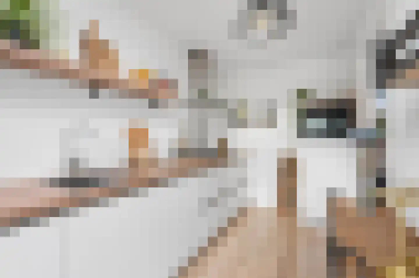 Klaas Visscherstraat 24 Nijkerk thumbnail 20