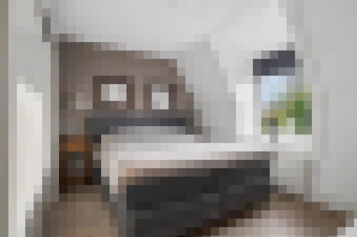 Klaas Visscherstraat 24 Nijkerk thumbnail 22