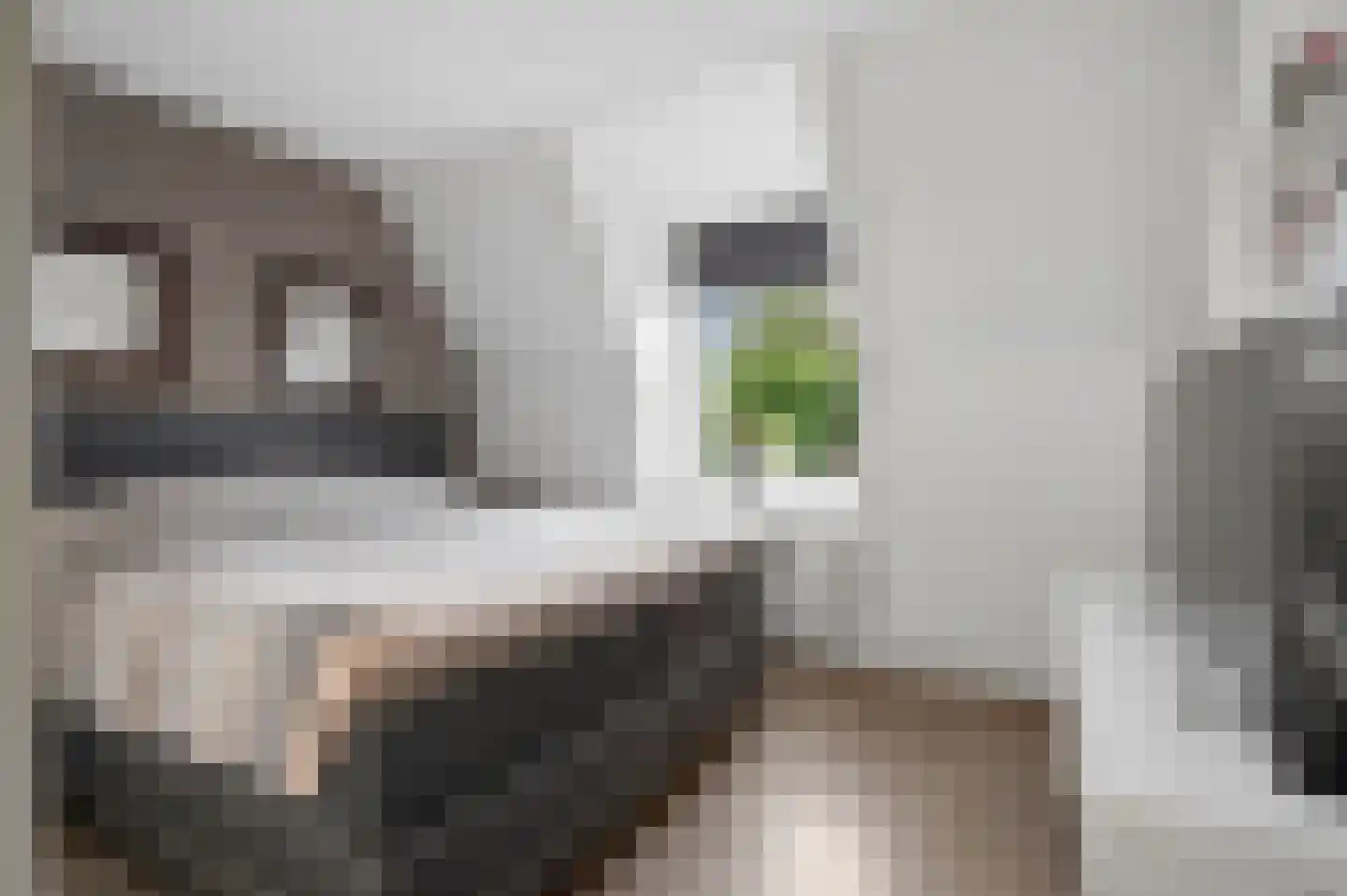 Klaas Visscherstraat 24 Nijkerk thumbnail 23