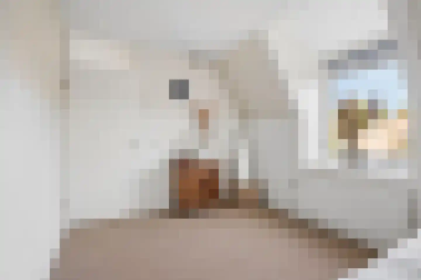 Klaas Visscherstraat 24 Nijkerk thumbnail 26