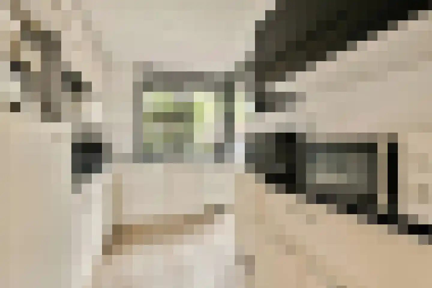 Klaas Wannen 30 Amsterdam thumbnail 9