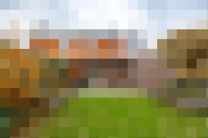 Klaas Woltjerweg 54 Zuidbroek thumbnail 39