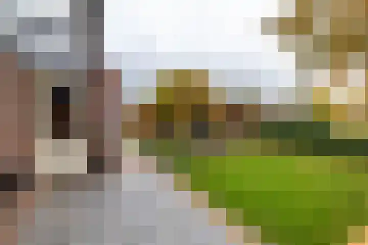 Klaas Woltjerweg 54 Zuidbroek thumbnail 42
