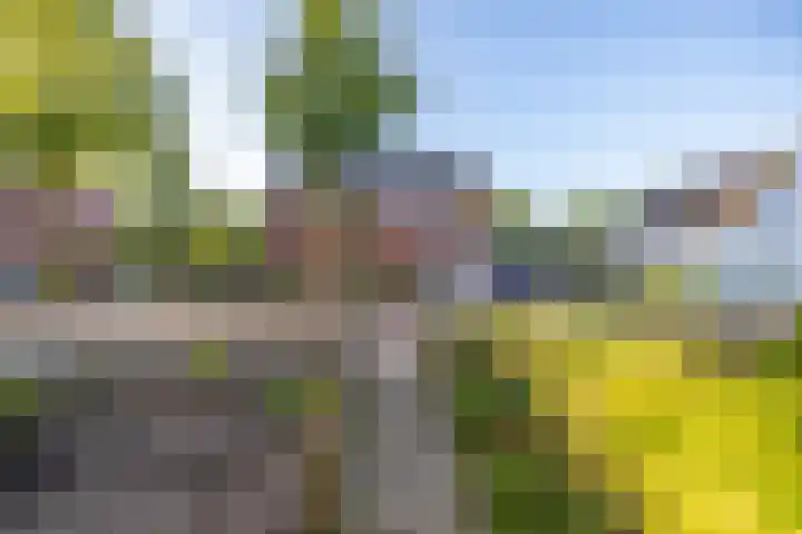 Klaas Woltjerweg 55 Zuidbroek thumbnail 4