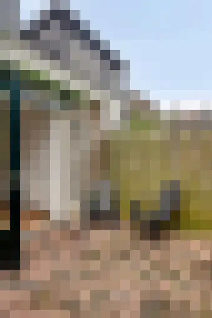 Klaasboerstraat 7 Zwolle thumbnail 31