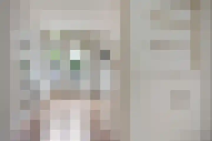 Klaasboerstraat 7 Zwolle thumbnail 4