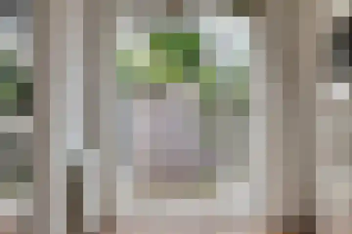 Klaasboerstraat 7 Zwolle thumbnail 8