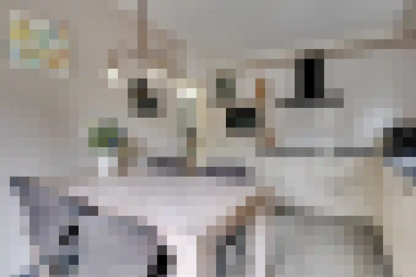 Klaasbos 1 Lichtenvoorde thumbnail 21