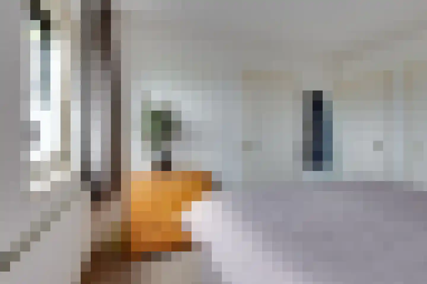 Klaasbos 1 Lichtenvoorde thumbnail 27