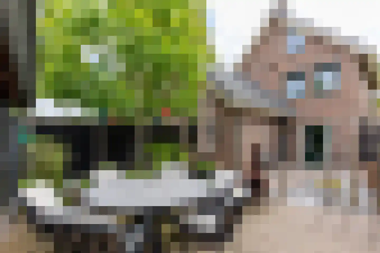 Klaasbos 1 Lichtenvoorde thumbnail 4
