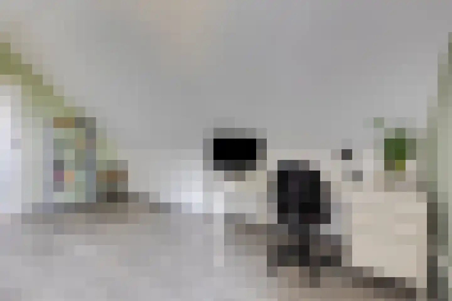 Klaasbos 1 Lichtenvoorde thumbnail 41