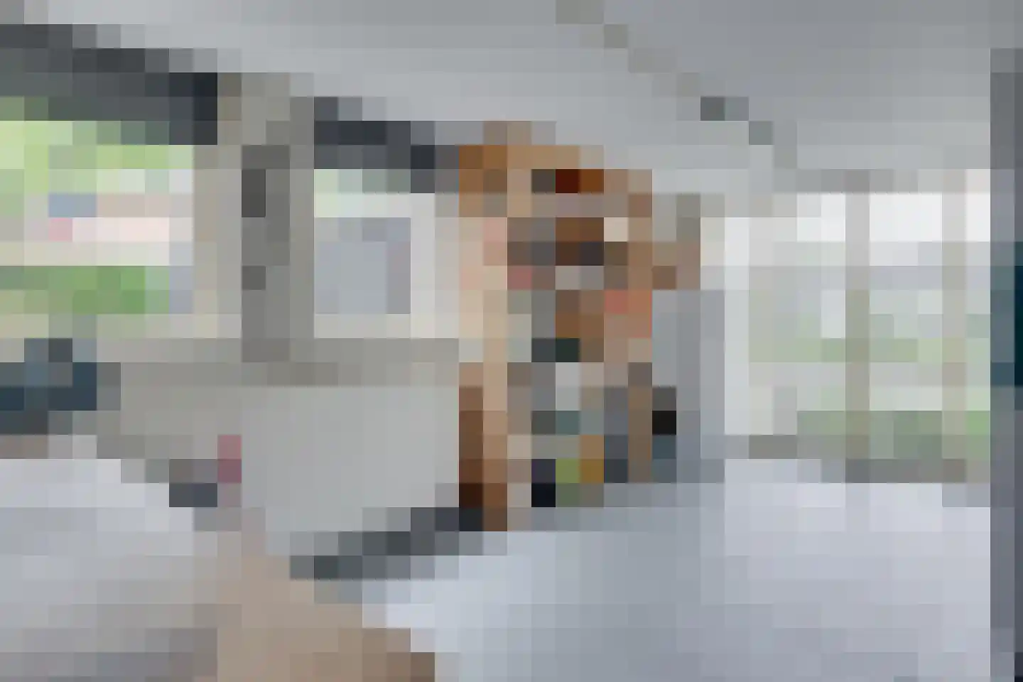 Klaasbos 1 Lichtenvoorde thumbnail 46