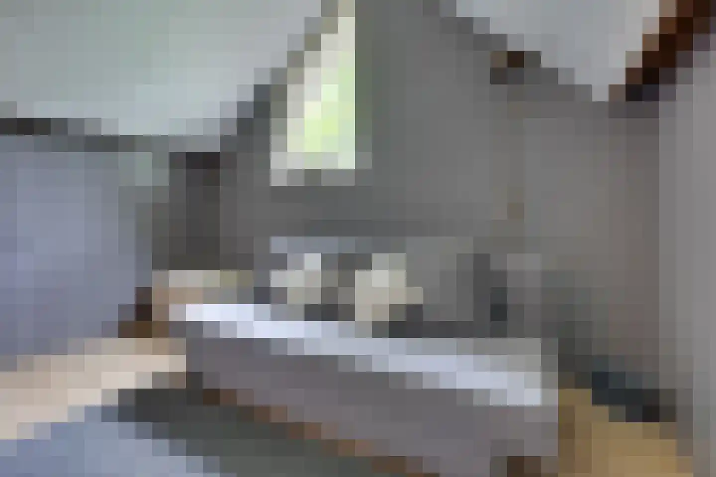Klaasbos 1 Lichtenvoorde thumbnail 48
