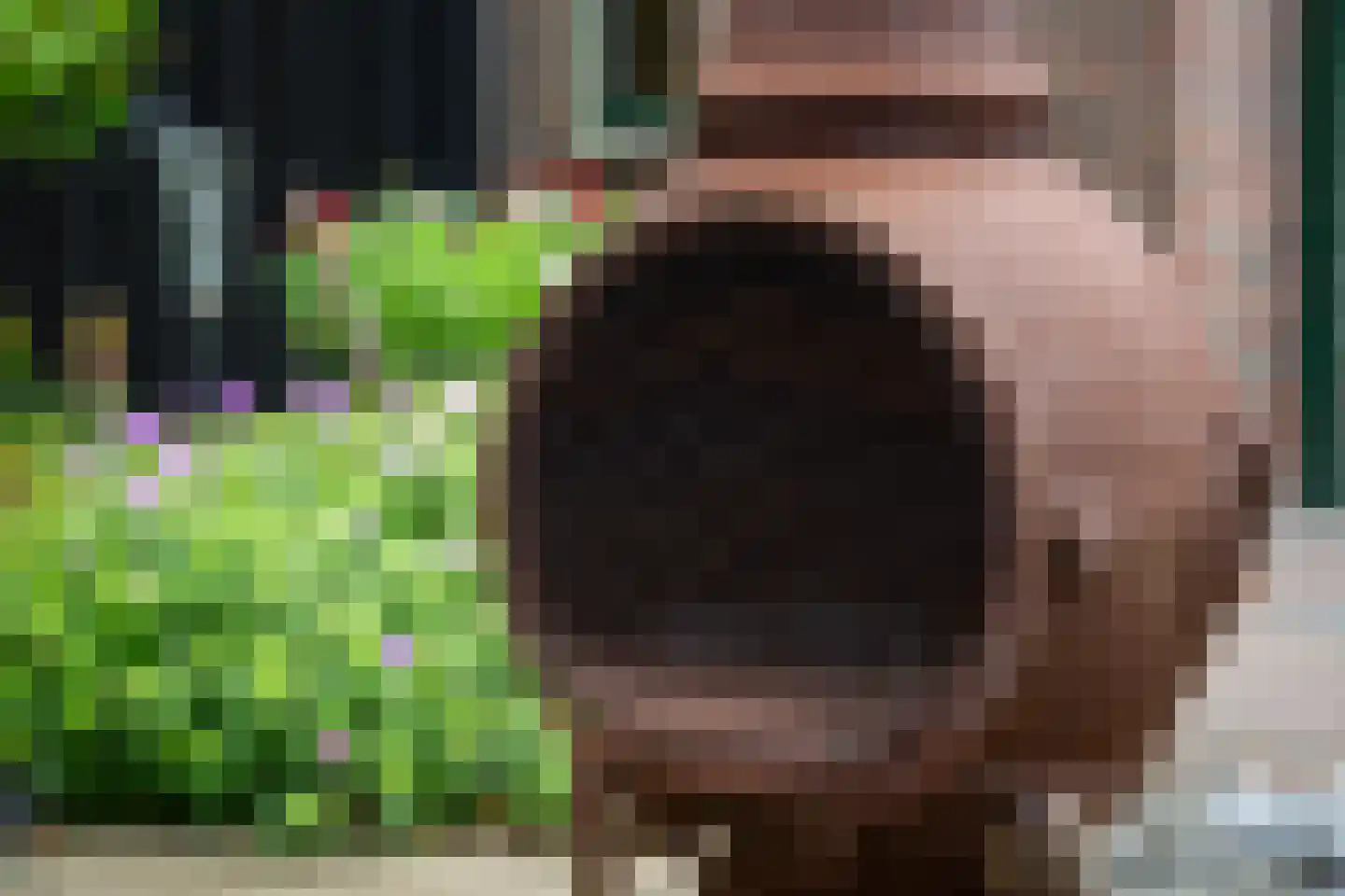 Klaasbos 1 Lichtenvoorde thumbnail 50