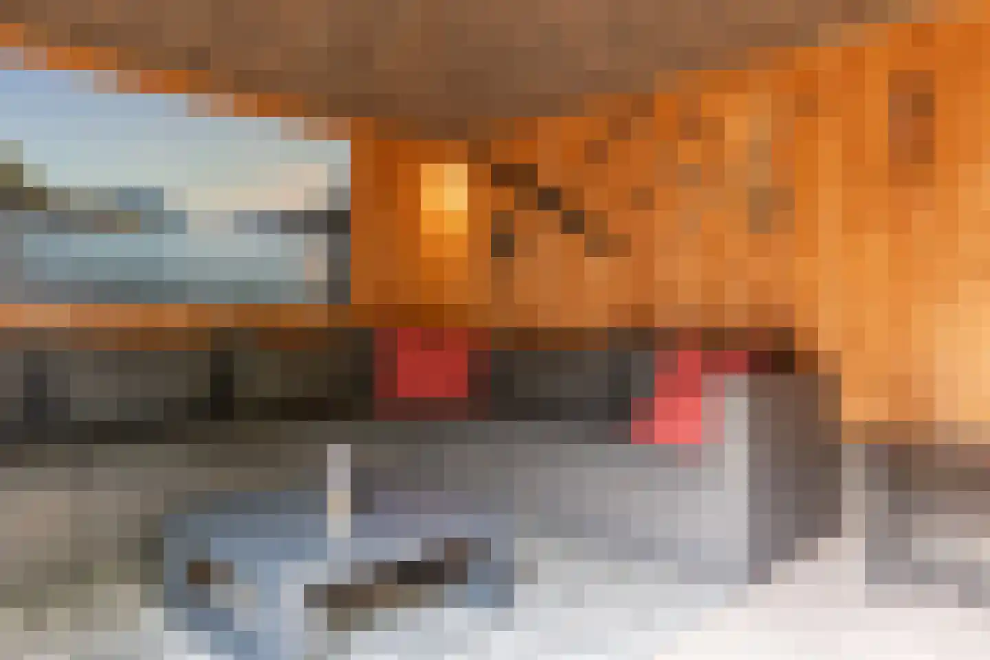 Klaasbos 1 Lichtenvoorde thumbnail 52