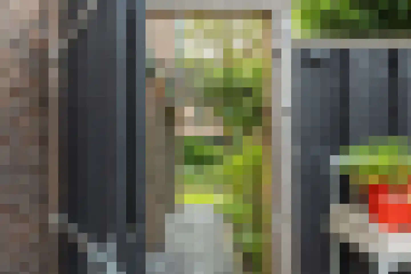 Klaasbos 1 Lichtenvoorde thumbnail 57