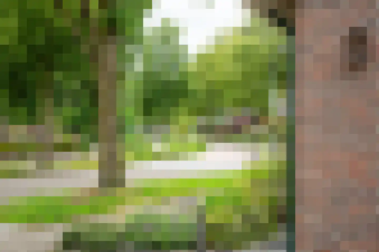 Klaasbos 1 Lichtenvoorde thumbnail 60