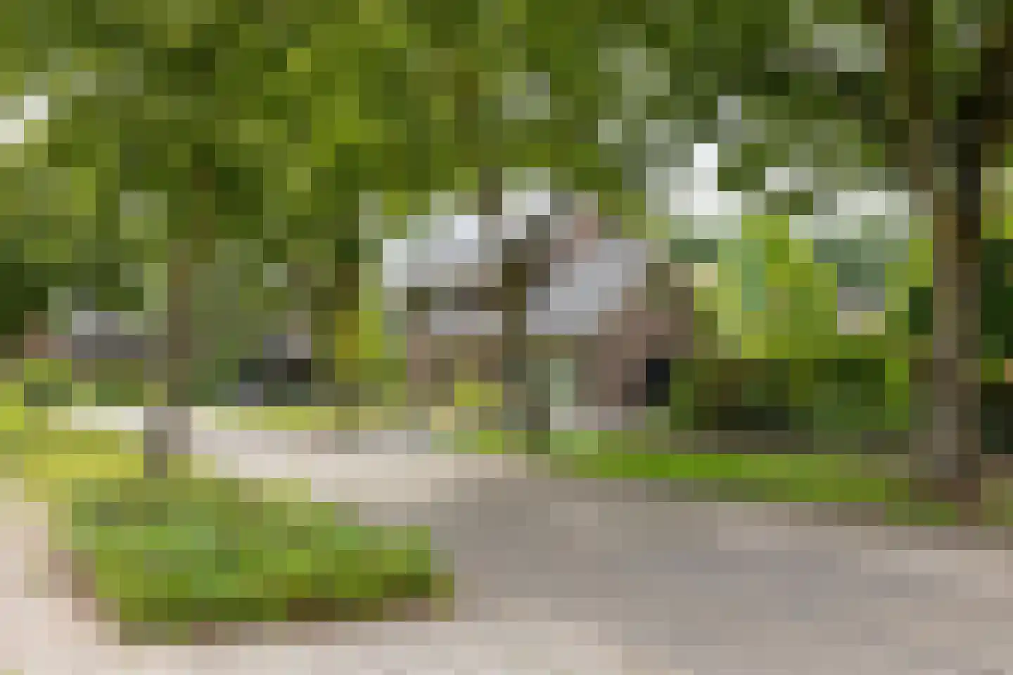 Klaasbos 1 Lichtenvoorde thumbnail 61