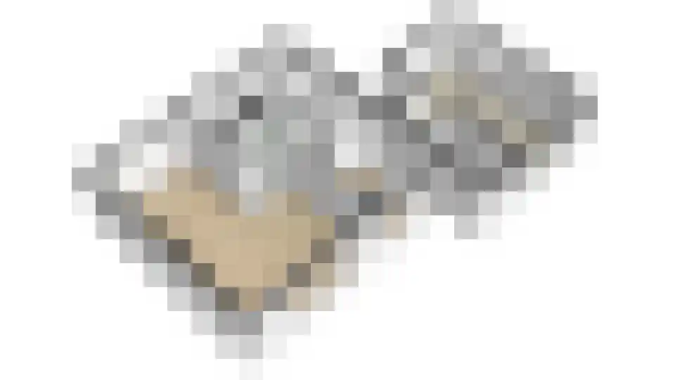 Klaasbos 1 Lichtenvoorde thumbnail 64