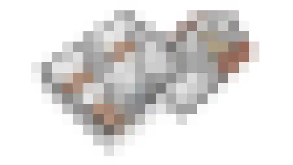Klaasbos 1 Lichtenvoorde thumbnail 67