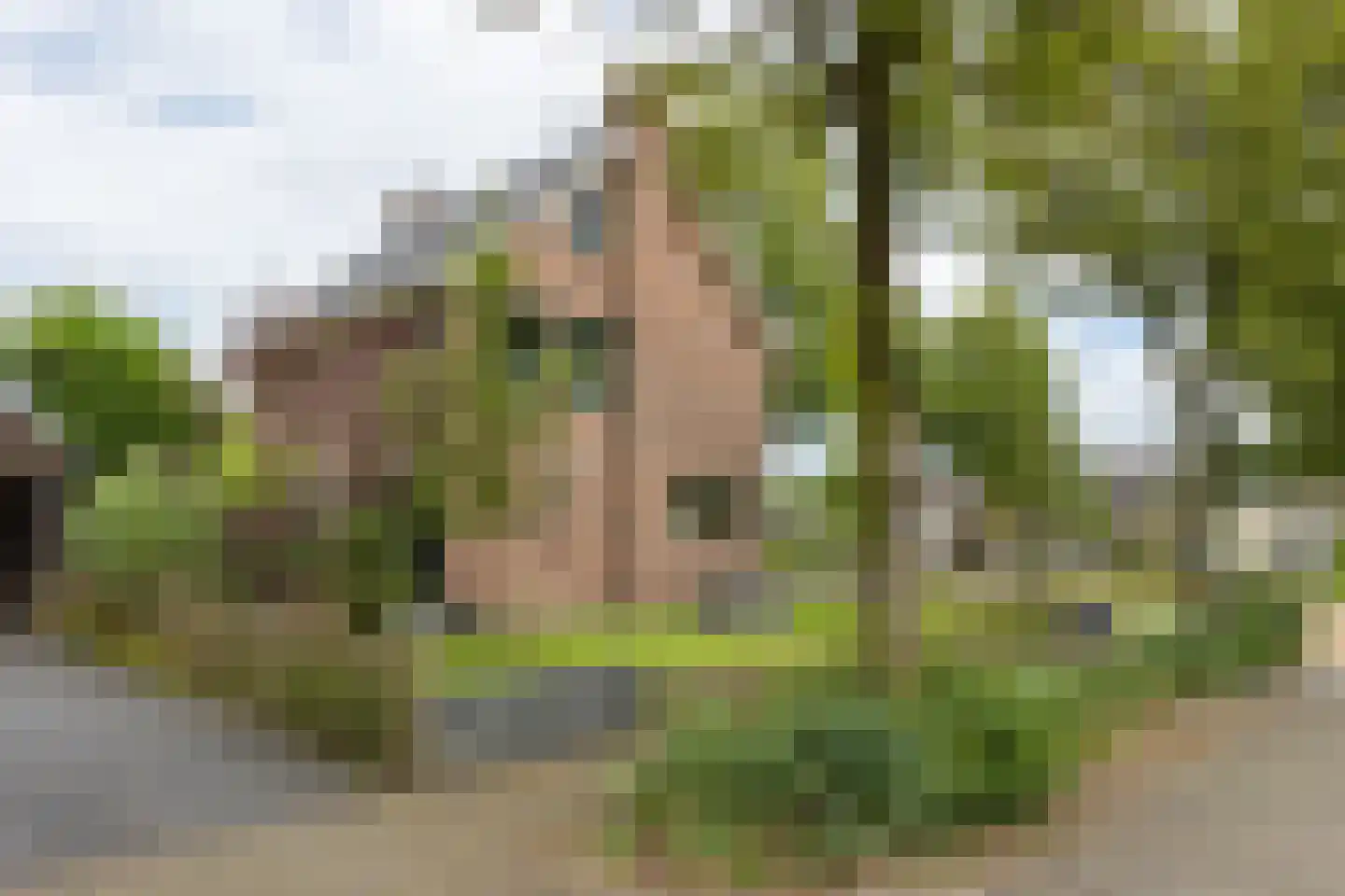 Klaasbos 1 Lichtenvoorde thumbnail 7