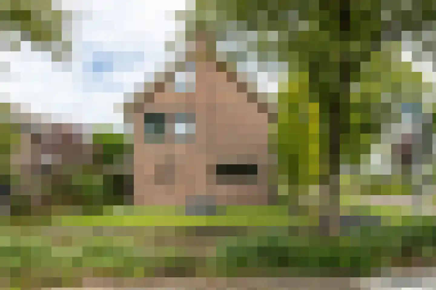 Klaasbos 1 Lichtenvoorde thumbnail 9