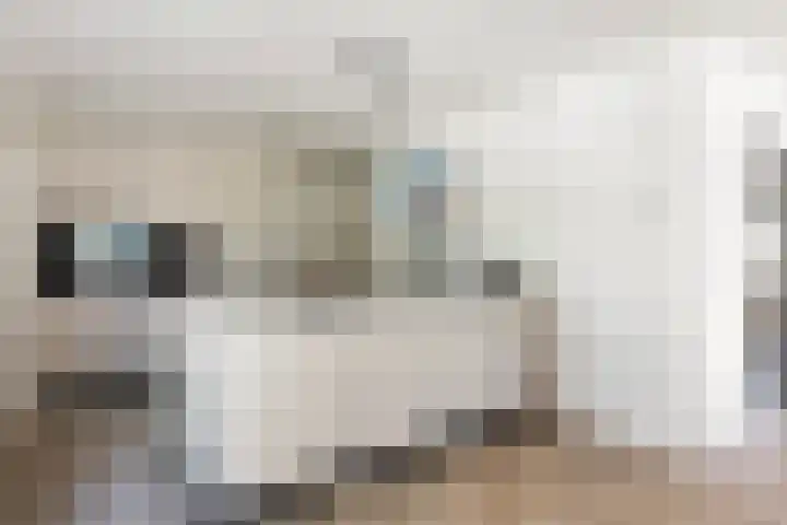 Klaasbos 17 Lichtenvoorde thumbnail 14
