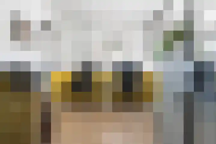 Klaasbos 17 Lichtenvoorde thumbnail 20