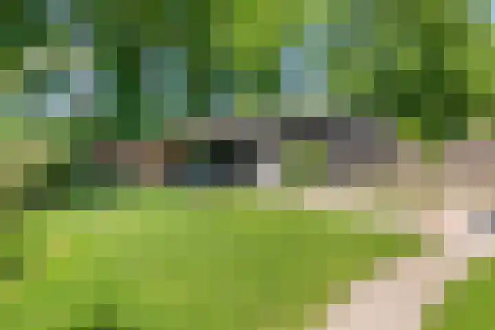 Klaasbos 17 Lichtenvoorde thumbnail 38