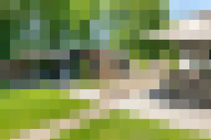 Klaasbos 17 Lichtenvoorde thumbnail 39