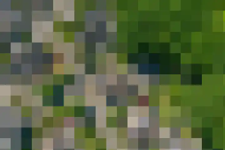 Klaasbos 17 Lichtenvoorde thumbnail 40