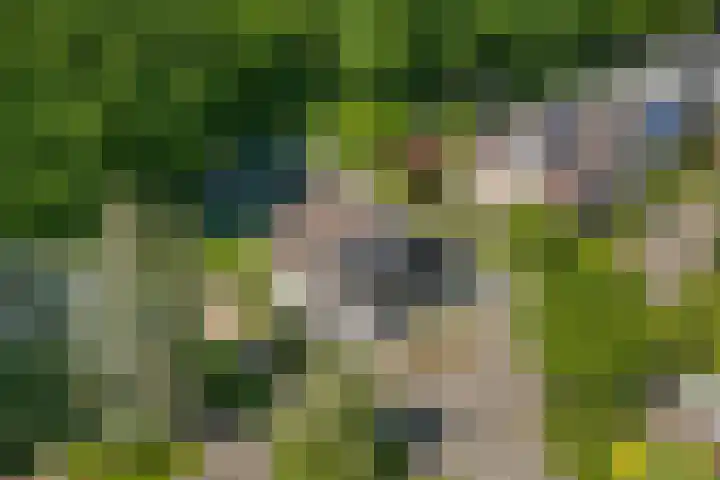 Klaasbos 17 Lichtenvoorde thumbnail 41