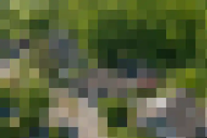 Klaasbos 17 Lichtenvoorde thumbnail 42