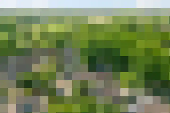 Klaasbos 17 Lichtenvoorde thumbnail 43