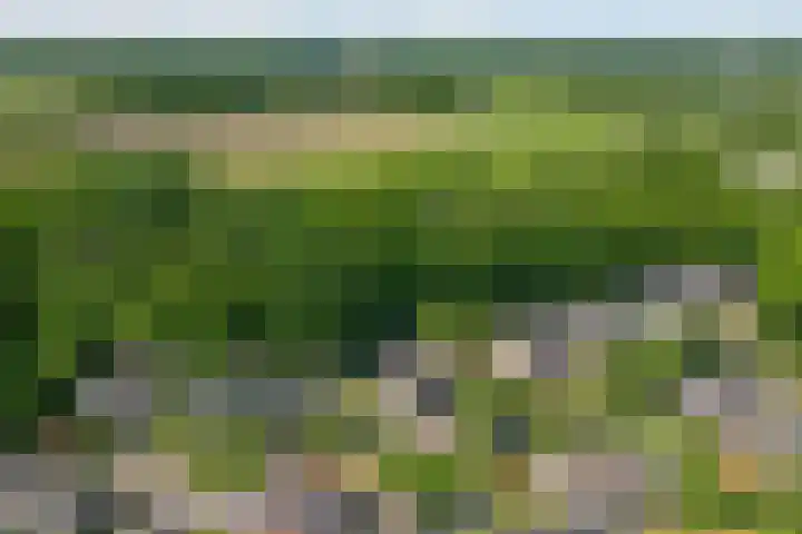 Klaasbos 17 Lichtenvoorde thumbnail 44