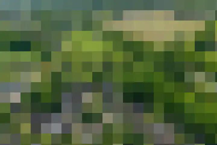Klaasbos 17 Lichtenvoorde thumbnail 45