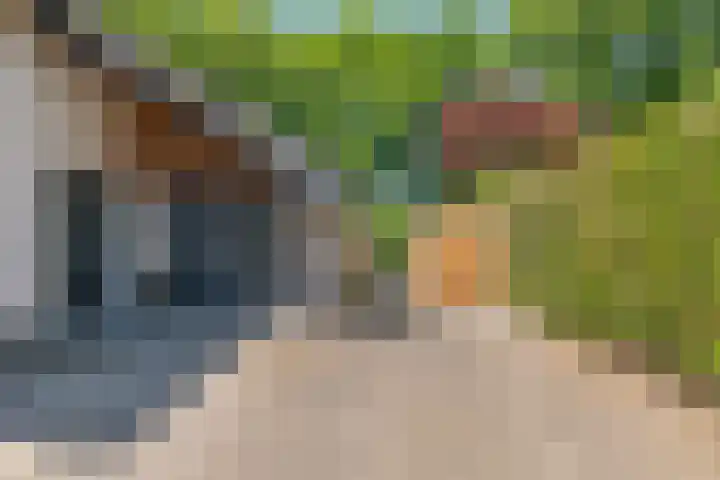 Klaasbos 17 Lichtenvoorde thumbnail 5