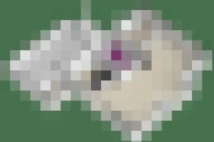 Klaasbos 17 Lichtenvoorde thumbnail 51