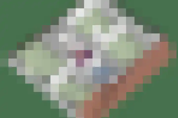 Klaasbos 17 Lichtenvoorde thumbnail 52