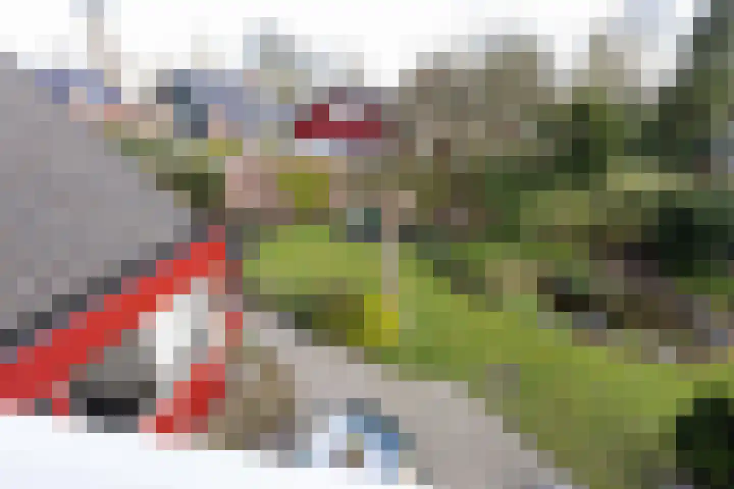Klaasbos 23 Lichtenvoorde thumbnail 25