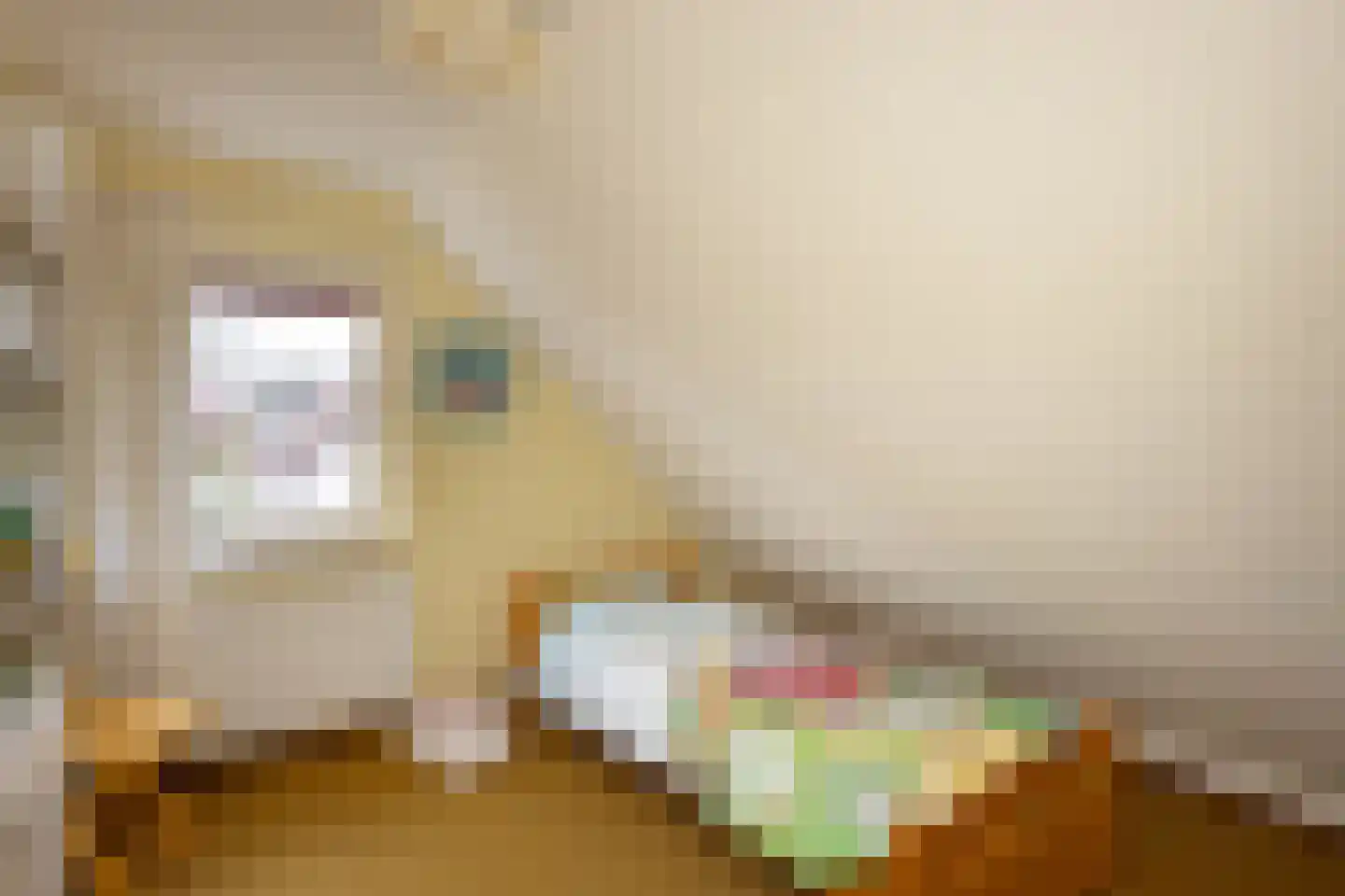 Klaasbos 23 Lichtenvoorde thumbnail 30